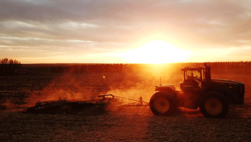 World Soil Day marked in NE China's Heilongjiang