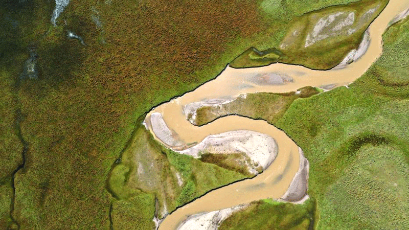 Vegetation restored through soil preservation in NW China