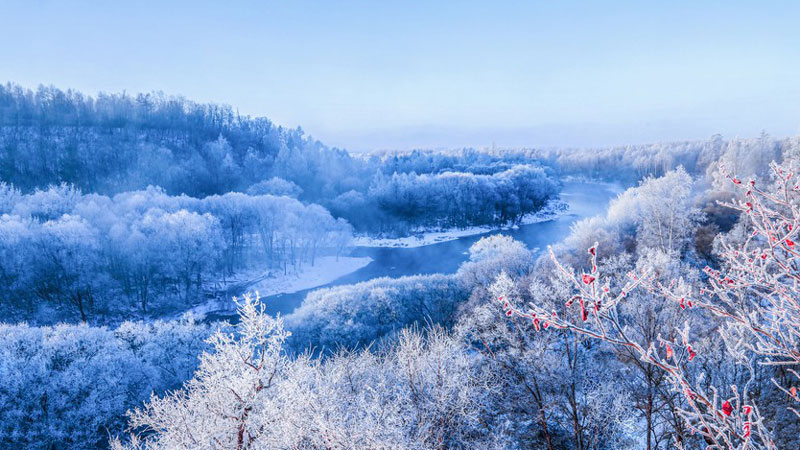 Gorgeous rime scenery of Xunke county in NE China’s Heilongjiang