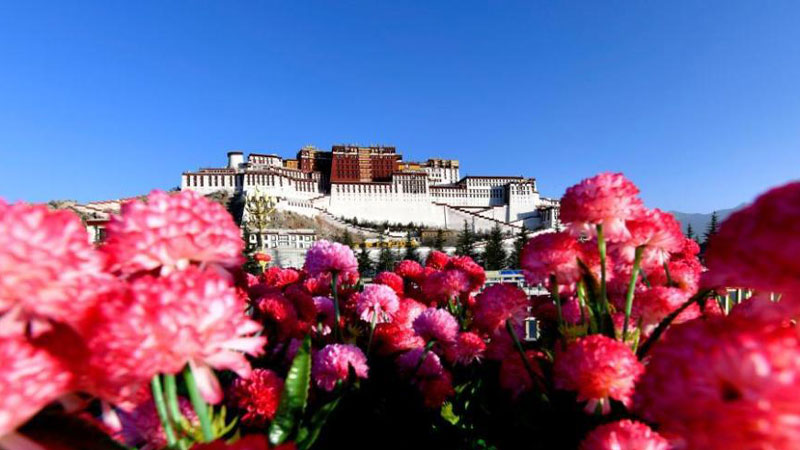 Iconic palaces reopen in Lhasa