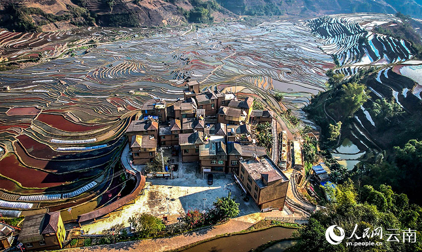 Spring farming gets going on SW China's Yunnan rice terraces