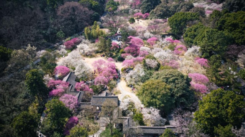 Spring scenery of Zhejiang, E China