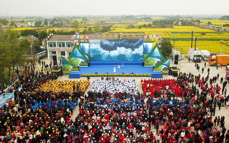 Rapeseed flowers help bring prosperity to countryside in Shayang, C China's Hubei