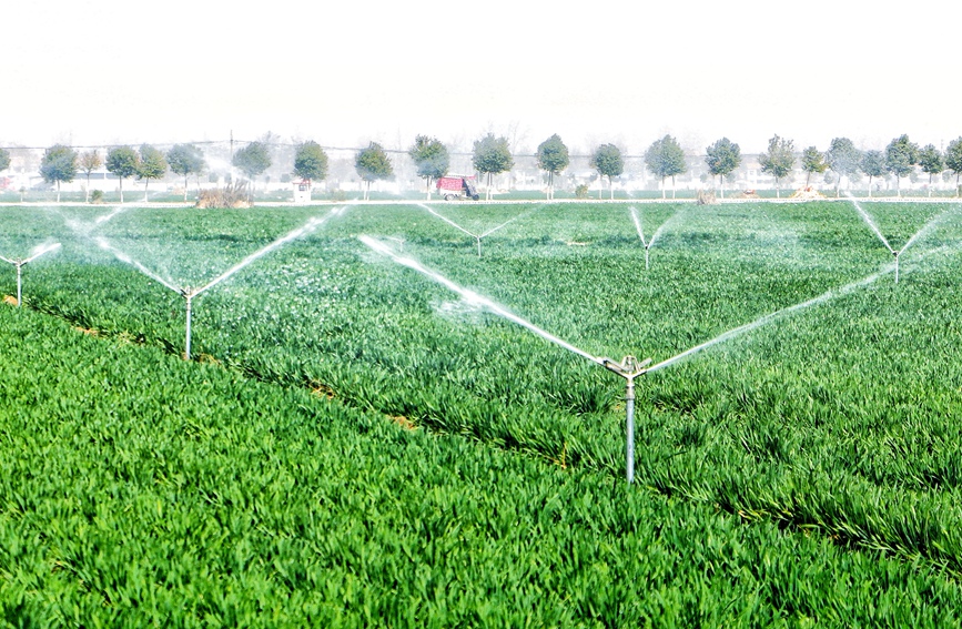 Farmers busy with spring farming in Zhecheng, C China's Henan