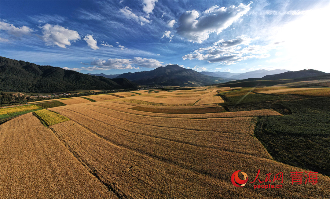 Picturesque autumn scenery at the foot of NW China's Qilian Mountains