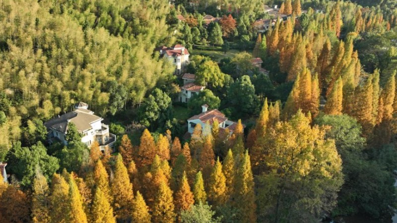 In pics: Meiling national forest park in Nanchang, E China