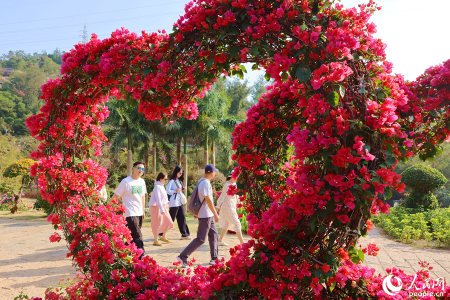 National Bougainvillea Germplasm Resource Repository opens in SE China's Xiamen