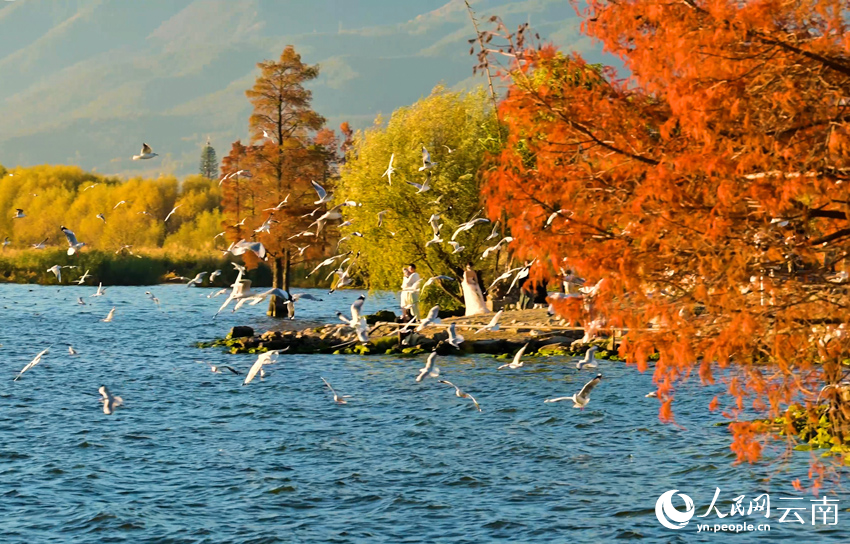 Beautiful scenery of Erhai Lake in Dali, SW China's Yunnan