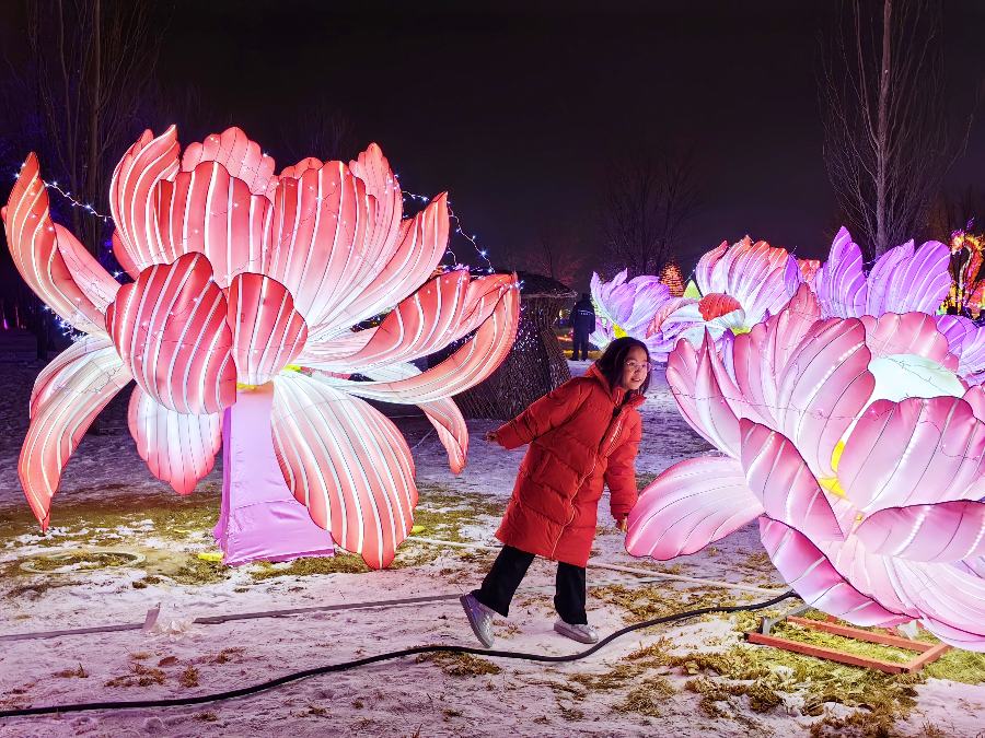 Beautiful lanterns light up Hohhot's winter nights