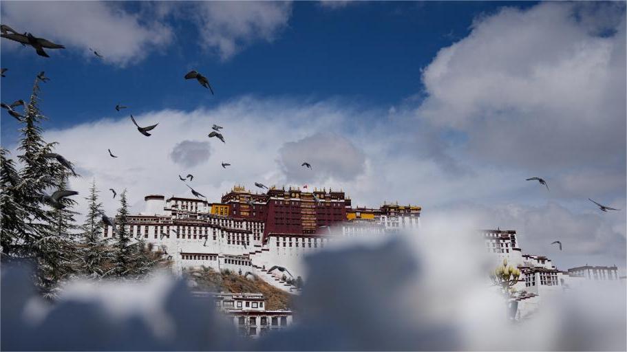 In pics: snow falls in Lhasa