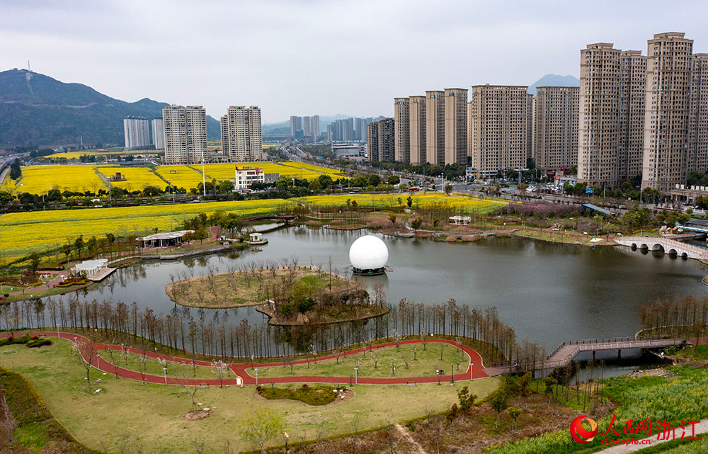 Spectacular sea of blooming rapeseed flowers attracts tourists to Yueqing, E China's Zhejiang