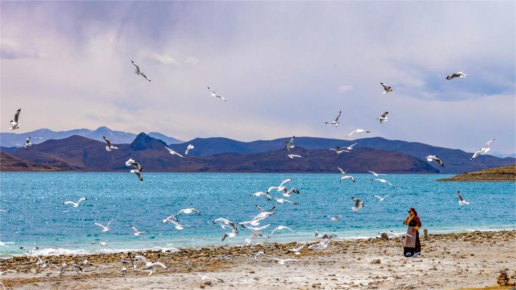 Scenery of Yamzbog Yumco Lake in SW China's Xizang