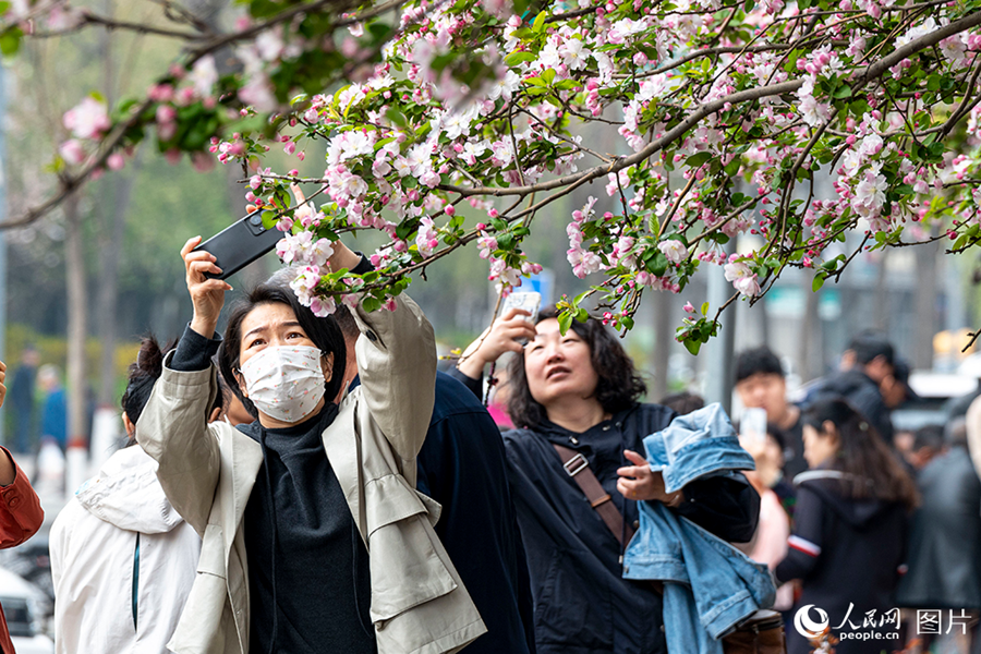 People savor beautiful sights of spring flowers across China