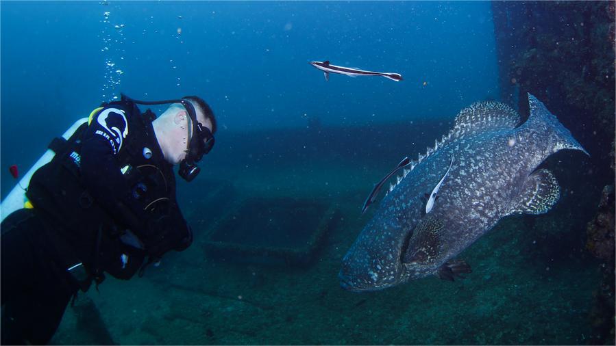 Wuzhizhou Island's marine ranch: a beacon of marine conservation in China