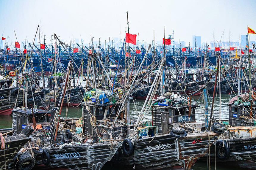 Hundreds of fishing boats set sail in E China as fishing ban lifted