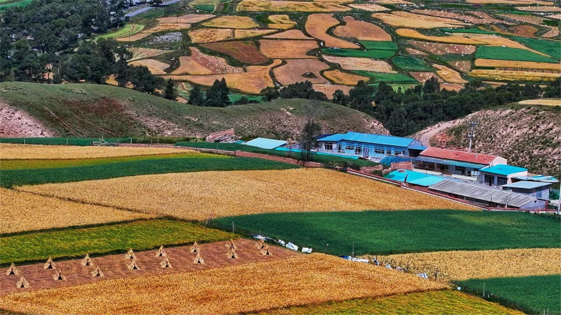 Autumn scenery of Qilian Mountains in NW China's Qinghai