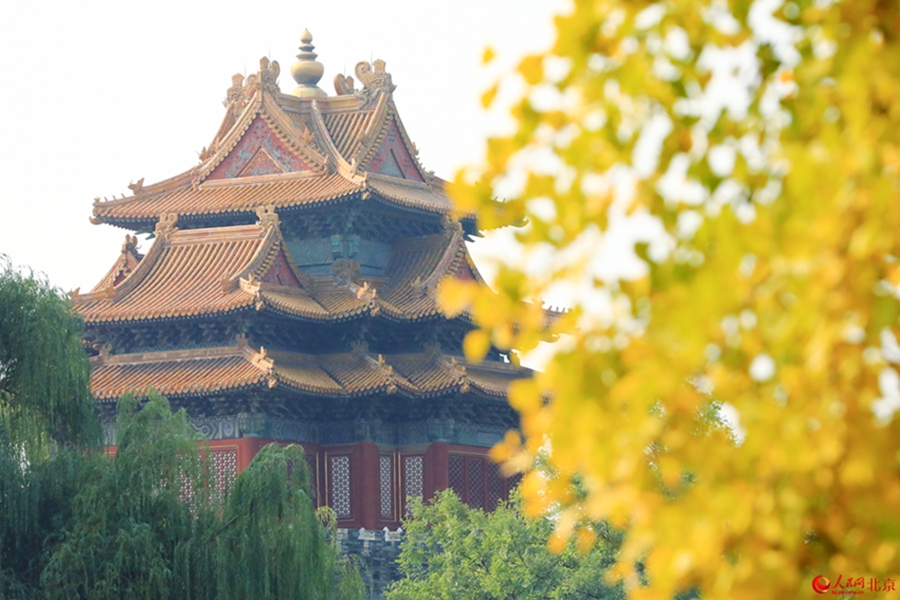 In pics: Autumn charm of Beijing