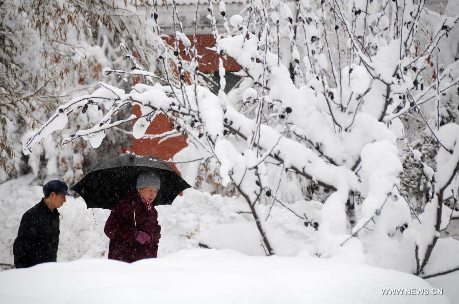 Citizens walk against the snow on the snow-covered road in Hegang, northeast China's Heilongjiang Province, Nov. 13, 2012. The city witnessed an intense snowfall since Nov. 11. (Xinhua/Wang Kai) 