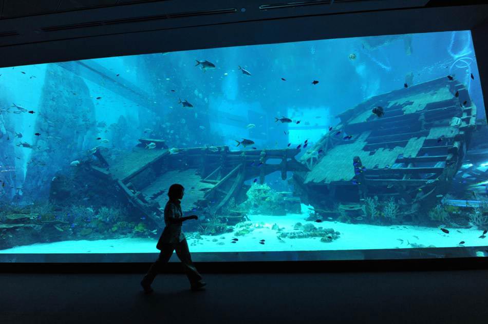 An employee walks past the view panel at the South East Asia aquarium, in Sentosa Resort World Marina Life Park in Singapore on Nov. 22, 2012. (Xinhua/AFP)