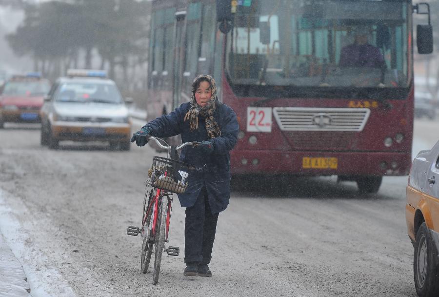 A citizen walks with her bike in snow in Changchun, capital of northeast China's Jilin Province, Dec. 9, 2012. Most part of the province received a snowfall on Sunday. (Xinhua/Lin Hong)