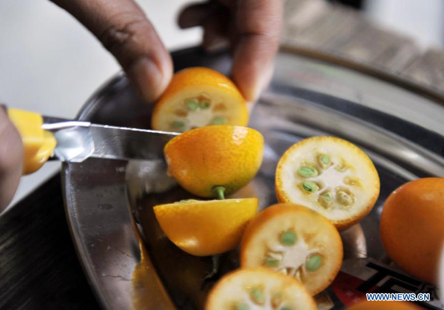 A judge cuts cumquat to check its quality during a contest for cumquat in Dajiang Town of Rong'an County, Liuzhou City, south China's Guangxi Zhuang Autonomous Region, Dec. 10, 2012. Cumquat planting has become a major income source for local farmers in Rong'an. (Xinhua/Yu Xiangquan)