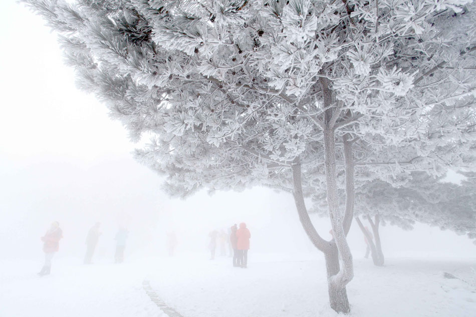 Tourists have a wonderful time on Rime Island in Jilin city, Northeast China's Jilin province, on Dec 9, 2012. (Photo/Xinhua) 