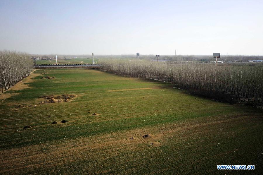 Photo taken on Dec. 23, 2012 shows the scenery outside the window of G79 express train during a trip to Guangzhou, capital of south China's Guangdong Province. (Xinhua/Chen Yehua)