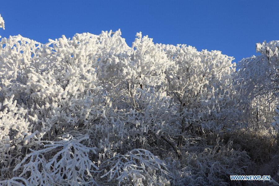 Photo taken on Feb. 3, 2012 shows a scenery of the Tiepi Mountain with an altitude of 3,800 meters, in Baoxing County of Ya'an, southwest China's Sichuan Province. (Xinhua/Guo Wenyao)