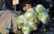 Vegetable prices jump 14.8% year on year