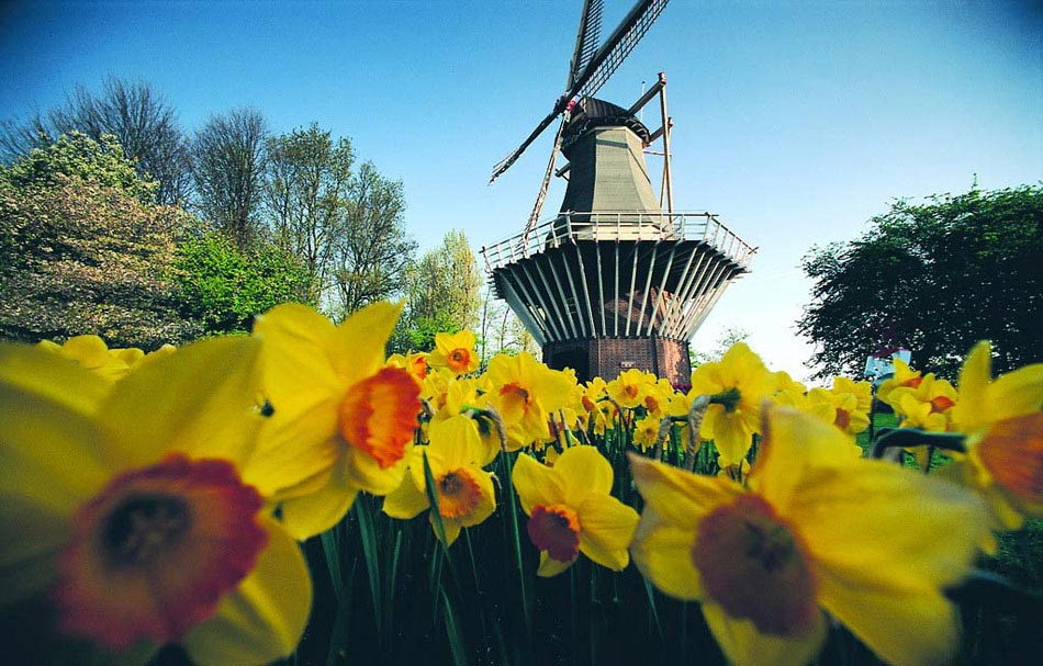 Netherlands (Photo/ Xinhua)