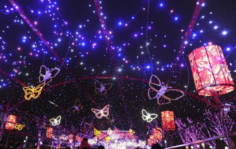 Lantern show held to celebrate Spring Festival 