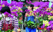 Flower power backs Zhangzhou growth