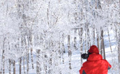 People enjoy rime scenery in NE China's Jilin