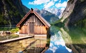 Dreamy log cabins among woods 