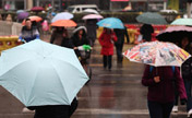 Year's first rainfall for Beijing