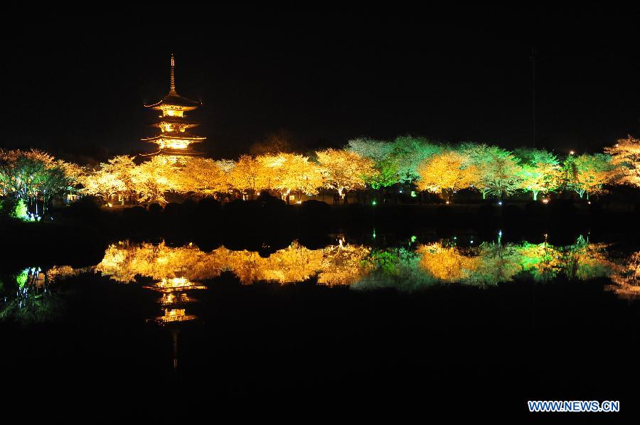 Photo taken on March 18, 2013 shows the night view of the Moshan Hill Scenic Spot with illuminated cherry trees, in Wuhan, capital of central China's Hubei Province. (Xinhua/Hao Tongqian)