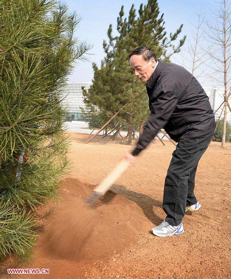 Wang Qishan plants a sapling during a tree-planting event in Fengtai District in Beijing, capital of China, April 2, 2013. Chinese top leaders Xi Jinping, Li Keqiang, Zhang Dejiang, Yu Zhengsheng, Liu Yunshan, Wang Qishan and Zhang Gaoli joined in the tree planting event here on Tuesday. (Xinhua/Liu Jiansheng)