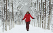 Heavy snowfall hits NE China