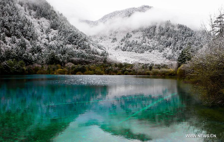 Photo taken on April 5, 2013 shows the scenery of snow covered trees in Jiuzhaigou Valley, southwest China's Sichuan Province. (Xinhua/Sangey)