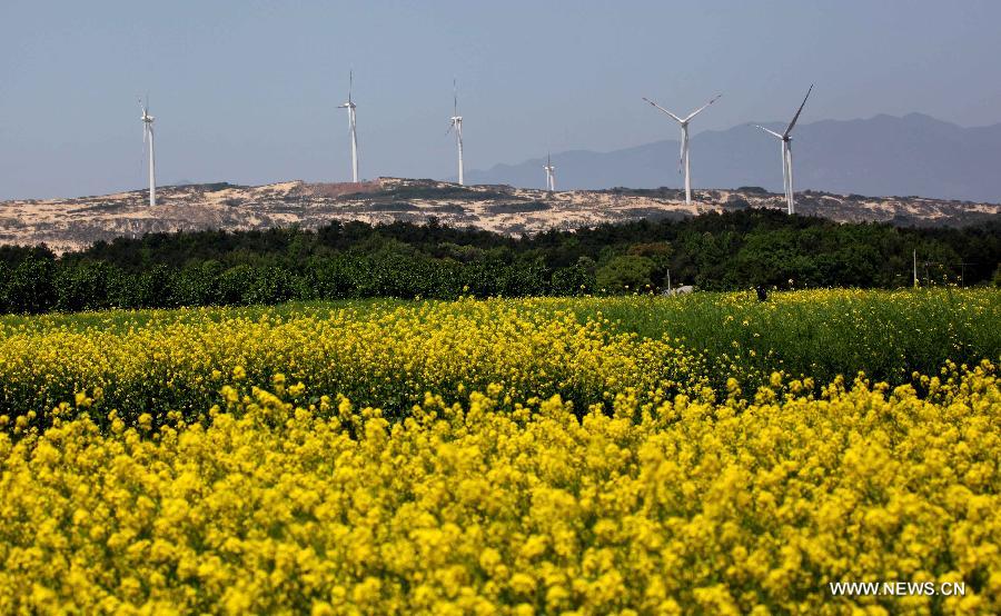 Photo taken on April 7, 2013 shows the Bijiashan Wind Power Plant beside the Poyang Lake in Jiujiang City, east China's Jiangxi Province. The Bijiashan Wind Power Plant, invested by China Power Investment Corporation, has been put into operation with 48 megawatts of installed generating capacity. Currently, there are five wind power plants around the Poyang Lake, respectively Jishanhu, Changling, Daling, Laoyemiao and Bijiashan. (Xinhua/Fu Jianbin)