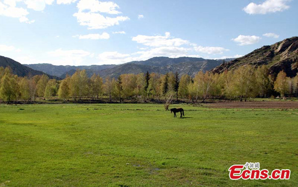 Photo taken in early May shows the amazing scenery of the Koktokay National Geopark in Fuyun County, Altay Prefecture, Northwest China's Xinjiang Uyghur Autonomous Region. (CNS)