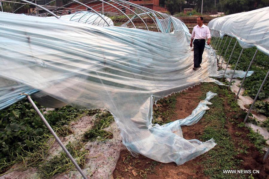 A farmer checks the greenhouses damaged by the hail in Yun County, Shiyan City, central China's Hubei Province, May 23, 2013. Hail and heavy rainfall hit Shiyan on May 22, leaving 85, 000 people in 15 townships and villages affected. (Xinhua/Cao Zhonghong) 