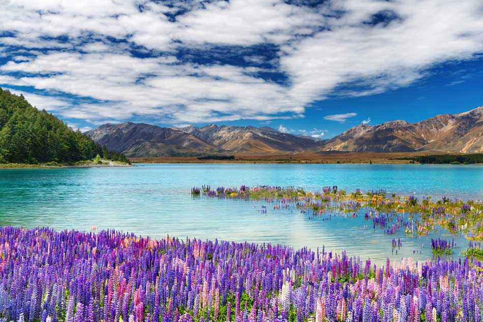 Lake Ohau (huanqiu.com)