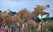 Dragon dance in S China