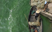 Blue-green algae expand at the Chaohu Lake