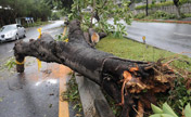 Typhoon Soulik kills one in Taiwan