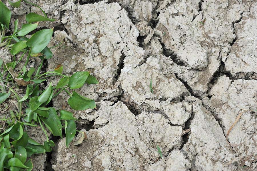 Photo taken on July 23, 2013 shows a dried aqueduct in Shanjiang Town, Fenghuang County of central China's Hunan Province. The Hunan meteorologic center on Monday issued the first orange alert for drought this year.(Xinhua/Long Hongtao) 