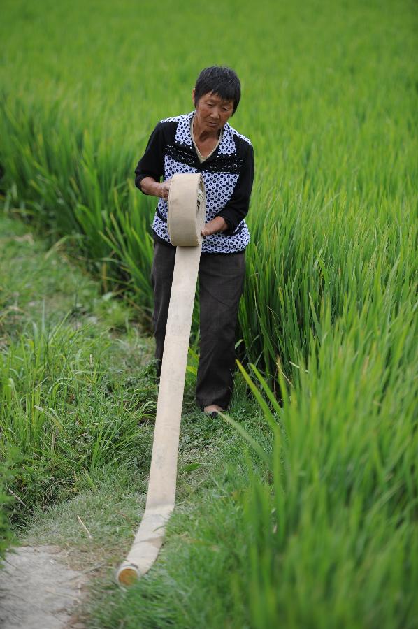 A farmer prepares a pipe for drawing water in Jiuchang Town of Xiuwen County, southwest China's Guizhou Province, July 31, 2013. Lingering droughts in Guizhou have affected more than 12 million people. Over 2 million people lack adequate supplies of drinking water, and a total of 847,300 hectares of farmland is damaged by the drought. (Xinhua/Liu Xu)