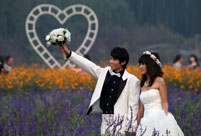 New couples take wedding photos during holiday