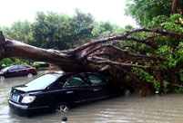 Typhoon Fitow affects 4.56 million people in east China